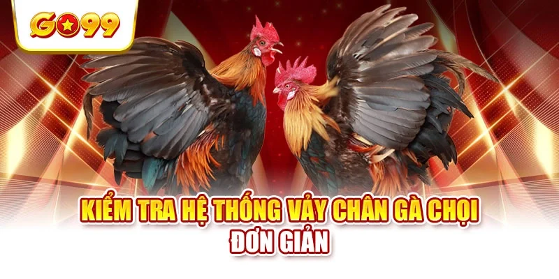 Kiểm tra hệ thống vảy chân gà chọi đơn giản