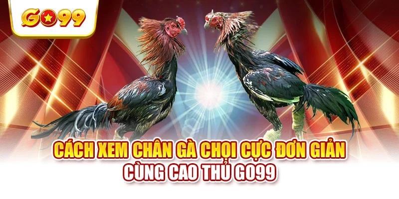 Cách Xem Chân Gà Chọi Cực Đơn Giản Cùng Cao Thủ GO99