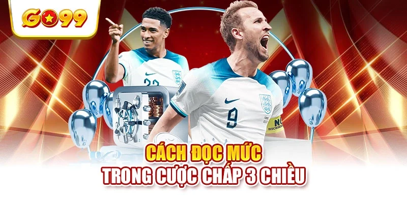 Cách đọc mức trong cược chấp 3 chiều Cách đọc mức trong cược chấp 3 chiều