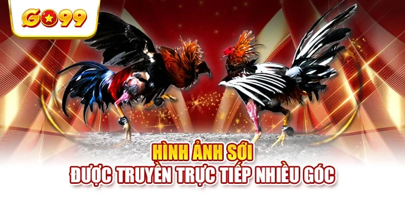 Hình ảnh sới được truyền trực tiếp nhiều góc