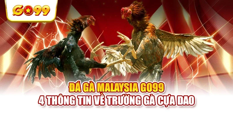 Đá Gà Malaysia GO99 - 4 Thông Tin Về Trường Gà Cựa Dao