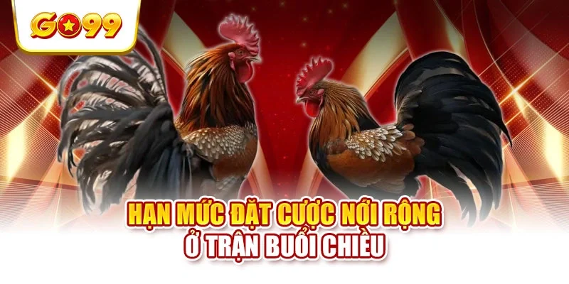 Hạn mức đặt cược nới rộng ở trận buổi chiều