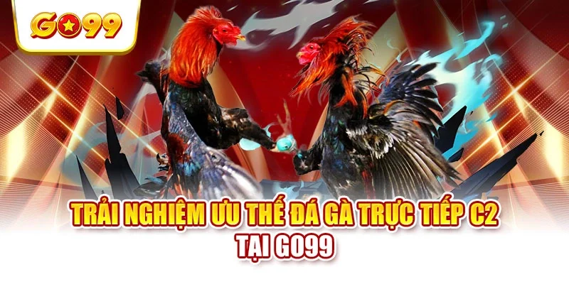 Trải nghiệm ưu thế đá gà trực tiếp C2 tại GO99