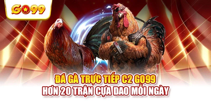 Đá Gà Trực Tiếp C2 GO99 - Hơn 20 Trận Cựa Dao Mỗi Ngày