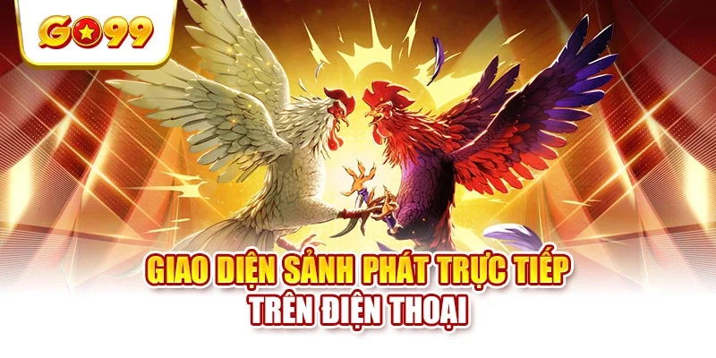 Giao diện sảnh phát trực tiếp trên điện thoại