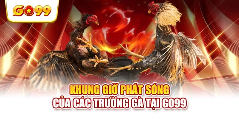 Khung giờ phát sóng của các trường gà tại GO99
